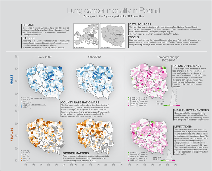 Infographics sample - Risk Map of Lung Cancer in Poland Project image